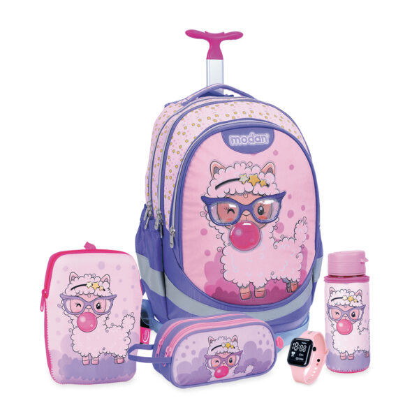 מארז מנצח כבשה