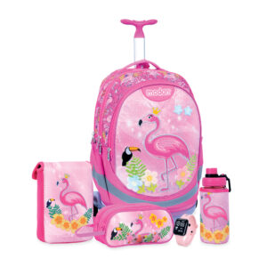 מארז מנצח פלמינגו פייטים